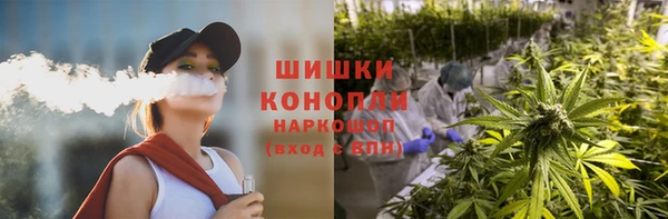 молекула духа Богородск