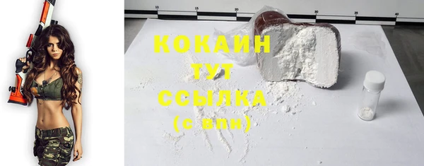 молекула духа Богородск