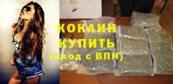 молекула духа Богородск