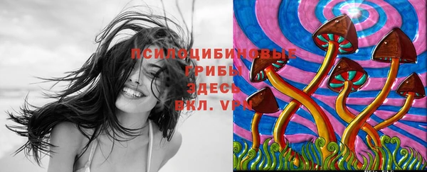 mdpv Богданович