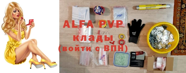 молекула духа Богородск