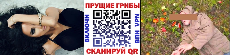 Галлюциногенные грибы Cubensis  кракен ONION  Горячий Ключ 